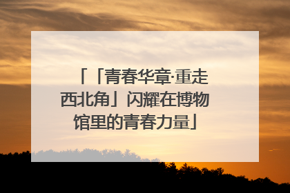 「青春华章·重走西北角」闪耀在博物馆里的青春力量